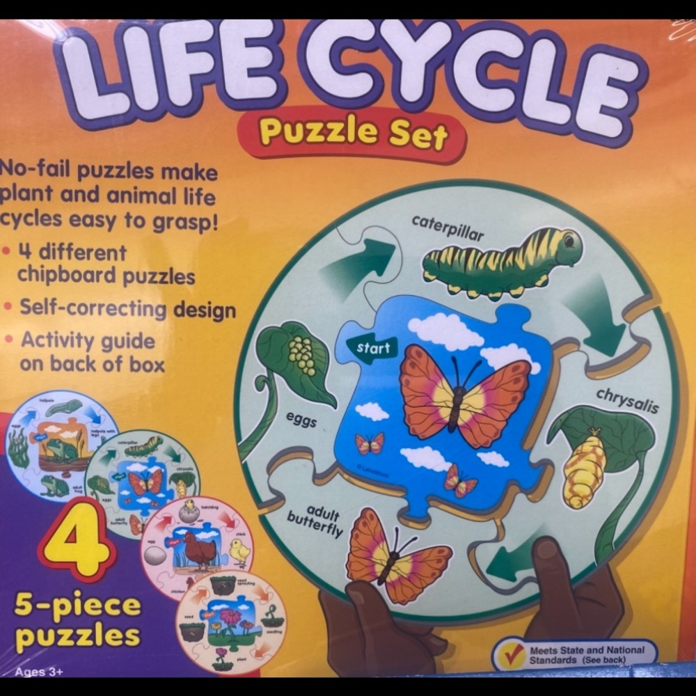 Life Cycle Puzzle Set - Multicolor